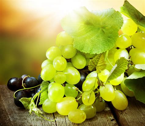 grapes images hd|More.